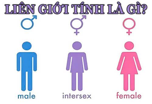 Liên giới tính là gì? – Khám phá định nghĩa, bối cảnh và tác động xã hội